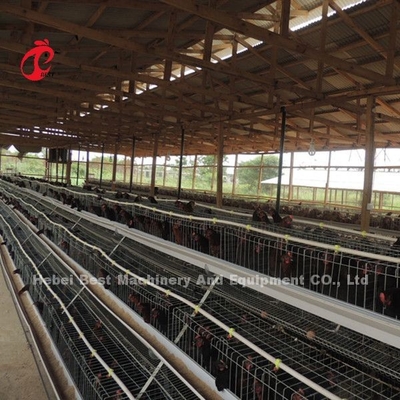 A Type 3 Tiers Layer Chicken Battery Cages 120 Birds 450cm2 Star
