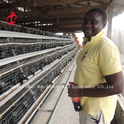 A Type 160 Capacity Layer Battery Cage System , Egg Laying Chicken Cage Sandy