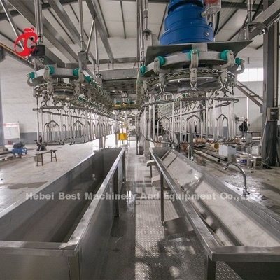 220V Broiler Processing System 4kw ,  Ss 304 Chicken Slaughter Equipment Doris