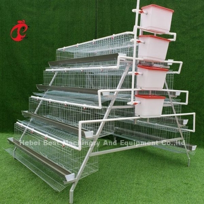 10000 Layers Chicken Layer Battery Cage Semi Automatic Save Space Adela
