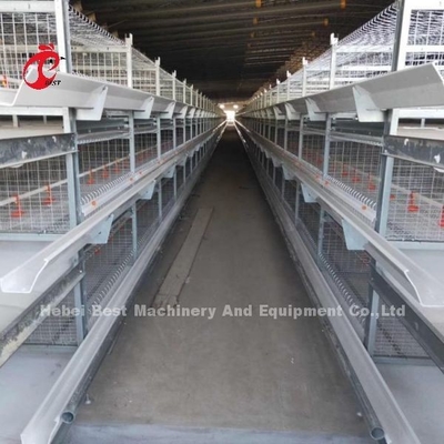 H Type Broiler Chicken Cage CE , Full Automatic Broiler Cage Equipment Adela