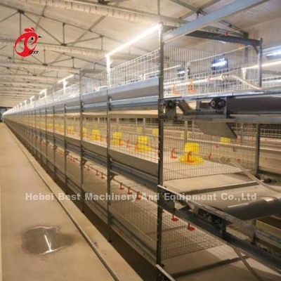 H Type Broiler Chicken Cage CE , Full Automatic Broiler Cage Equipment Adela