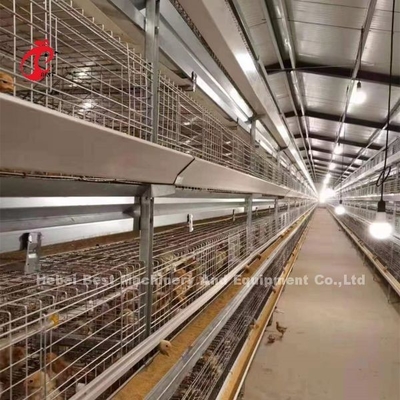 H Type Broiler Chicken Cage CE , Full Automatic Broiler Cage Equipment Adela