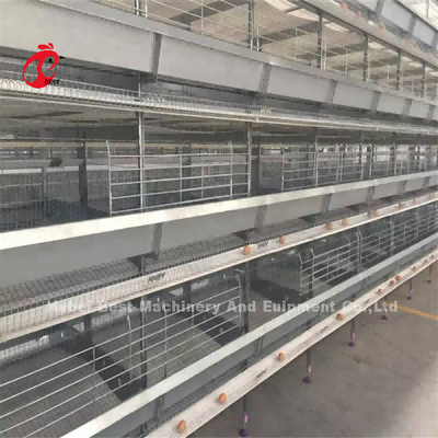 120 Chicken A Type Layer Battery Cage Of Poultry Equipment Mia