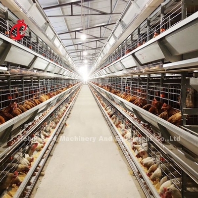 Automatic Customize Stable Layer Poultry Farm Cage Battery Bigger Size Rose