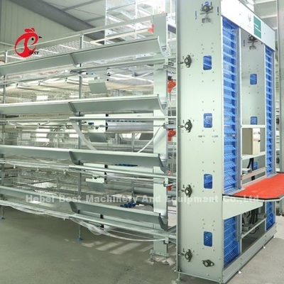 Automatic Customize Stable Layer Poultry Farm Cage Battery Bigger Size Rose