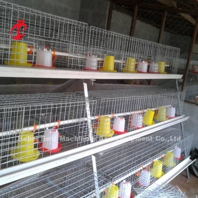 ISO Battery Type Breeding Cage , 3 tier chicken cage For Poultry Farm Iris