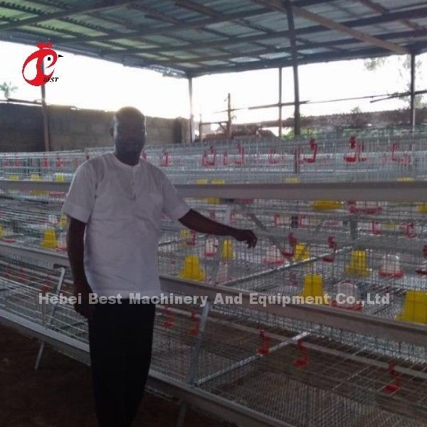 High Resilience H Type Broiler Cage Hot Galvanized Low Carbon Steel Adela