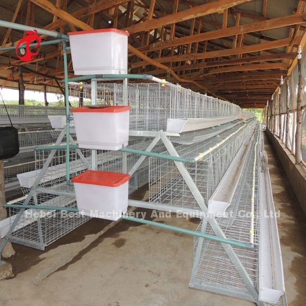 200 Birds A Type Poultry Battery Cage System For Layers Broilers Chicks