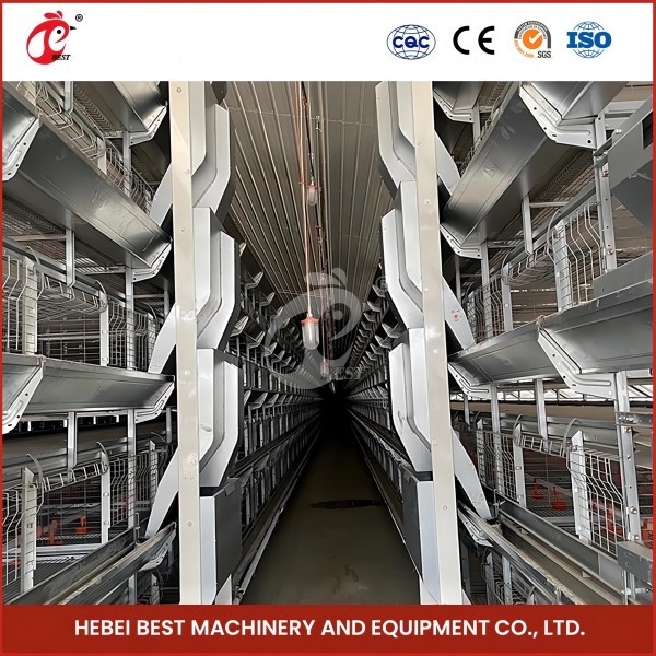High Precision Automatic Broiler Chicken Cage H Type Poultry Broiler Cage Rose