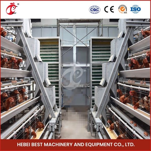 Efficiency Q235 Steel Wire Poultry Farming Cage System With Automatic Feeding And Drinking Sandy