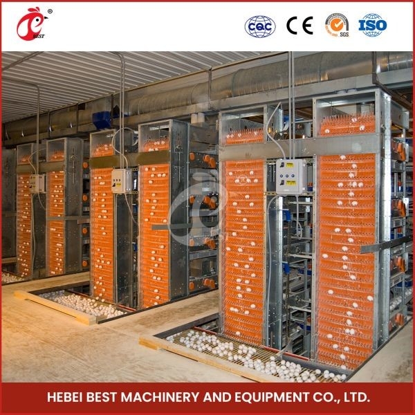 H Type Layer And Broiler Automatic Battery Chicken Cage Equipment House Design Ada