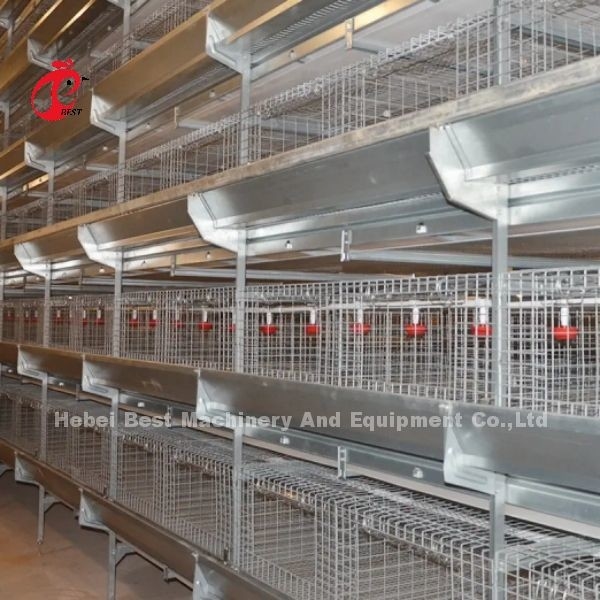 450cm2 H Type Automatic Chicken Battery Cage System With Feeder Adela
