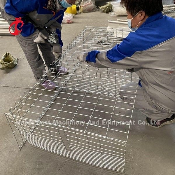 A Or H Type Broiler Chicken Cage For Poultry Farm Doris