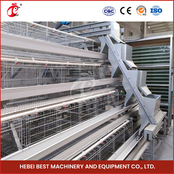 Automatic Poultry Farming Cage System With Automatic Feeder For Nigeria Zambia Ghana Sandy