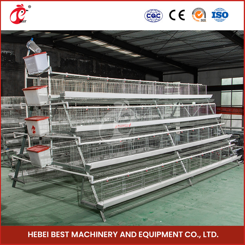 120 Chicken Wire Mesh Cage With Nipple Drinker And Cage Capacity Of 120 Star