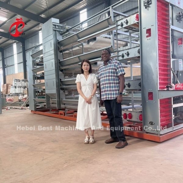 6 Tiers Chicken Cage  Broiler Poultry Equipment for Optimal Space Utilization and Automation Doris