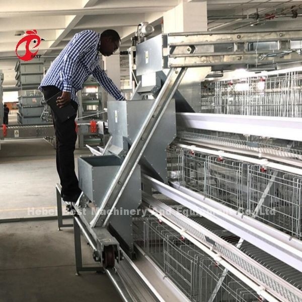 H Type Poultry Battery Cages Electro Galvanized Durable Imported Automatic Nipple Drinker Iris