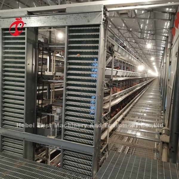 Customized Automatic Egg Collection Feeding Hopper System For 30,000 Chicken Farm Doris
