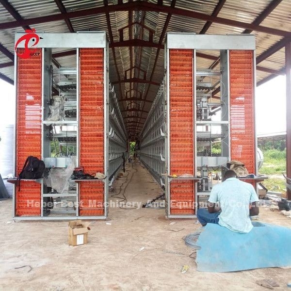 A H type Automatic Layer Poultry Equipment Breeder Chicken Cage System Sandy