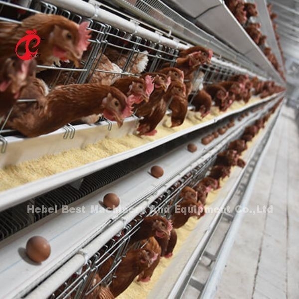 Good Price Hot galvanized Layer Farming Cage System A type Sale Adela