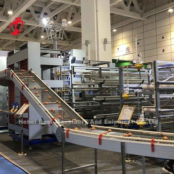 Battery Type Layer Poultry Farm Equipment With Automatic Feeding Machine 9 Tiers Mia