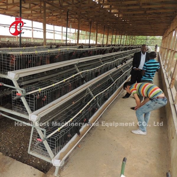 A Type 3 Tiers Layer Chicken Battery Cages 120 Birds 450cm2 Star
