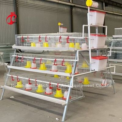 Buy battery chicken brooding cage, Good quality battery chicken ...